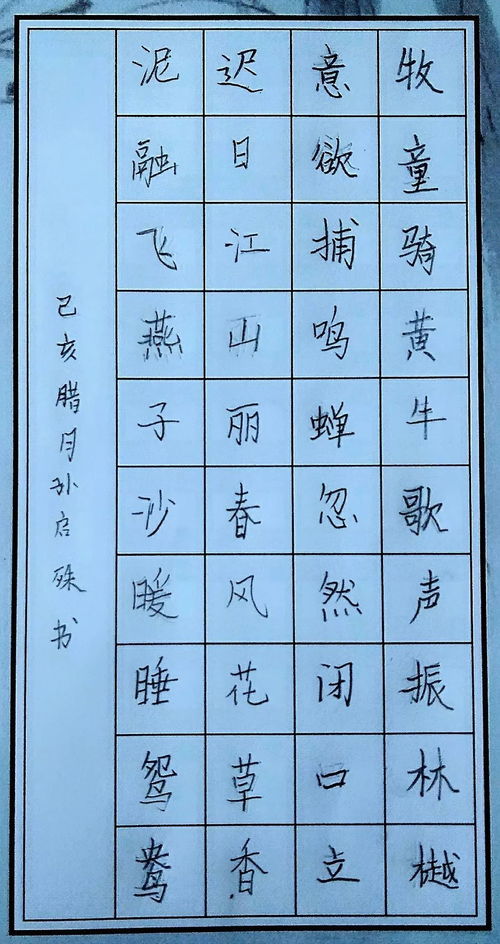 筆繪藍天 晉 在新年 文旅部書畫等級考試 成都考區 新年第一考開考